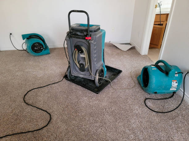 Best Residential water damage restoration  in Jackson, CA
