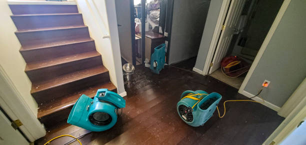 Best Ceiling water damage repair  in Jackson, CA