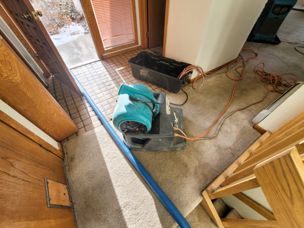 Best Residential water damage restoration  in Jackson, CA