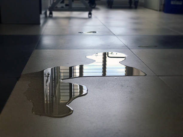 Professional Water damage restoration in Jackson, CA